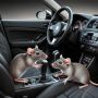 Эксперт рассказал, как защитить автомобиль от нашествия крыс