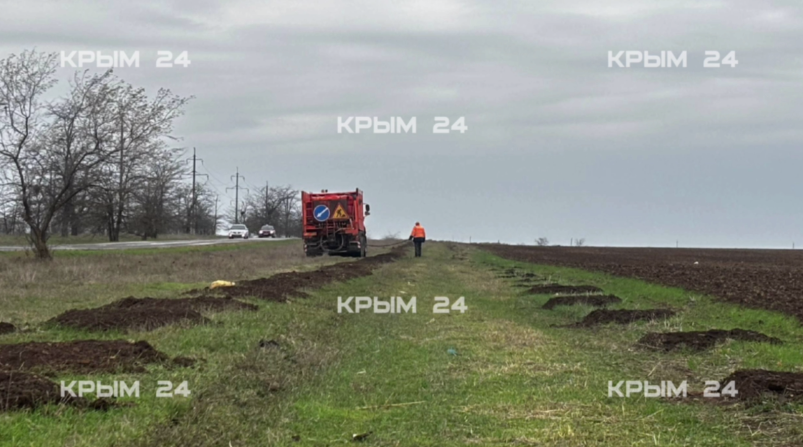 В Крыму продолжаются масштабные работы по озеленению обочин трасс В Крыму продолжаются масштабные работы по озеленению обочин трасс