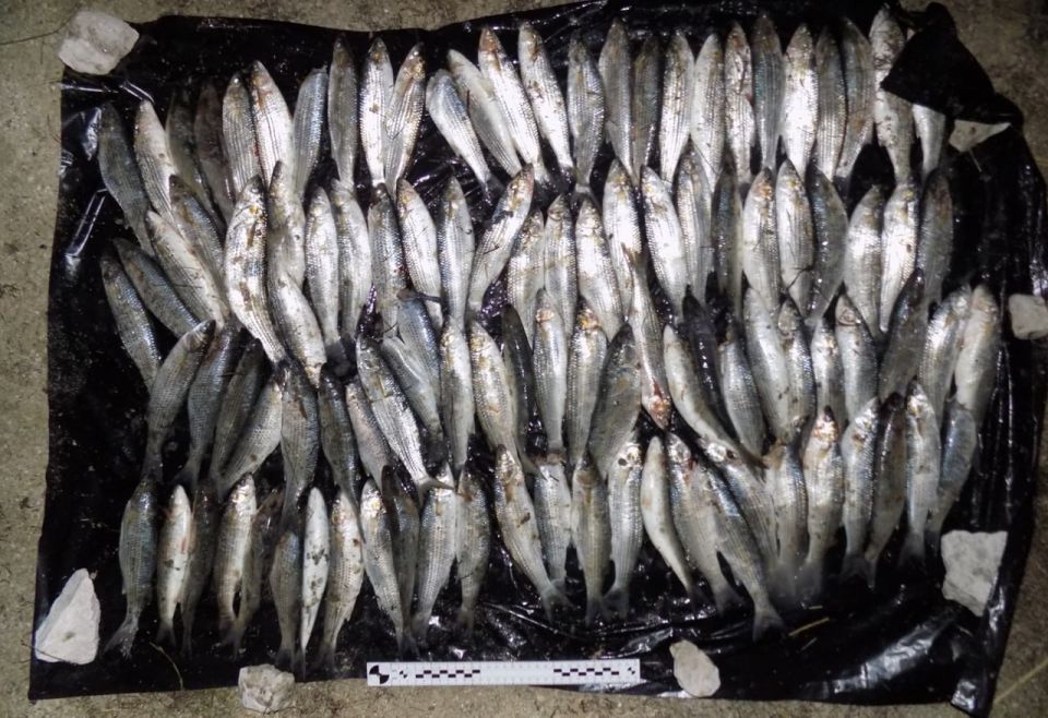 Сотрудники Херсонского линейного отдела МВД России на транспорте задержали подозреваемого в браконьерстве на берегу залива Сиваш