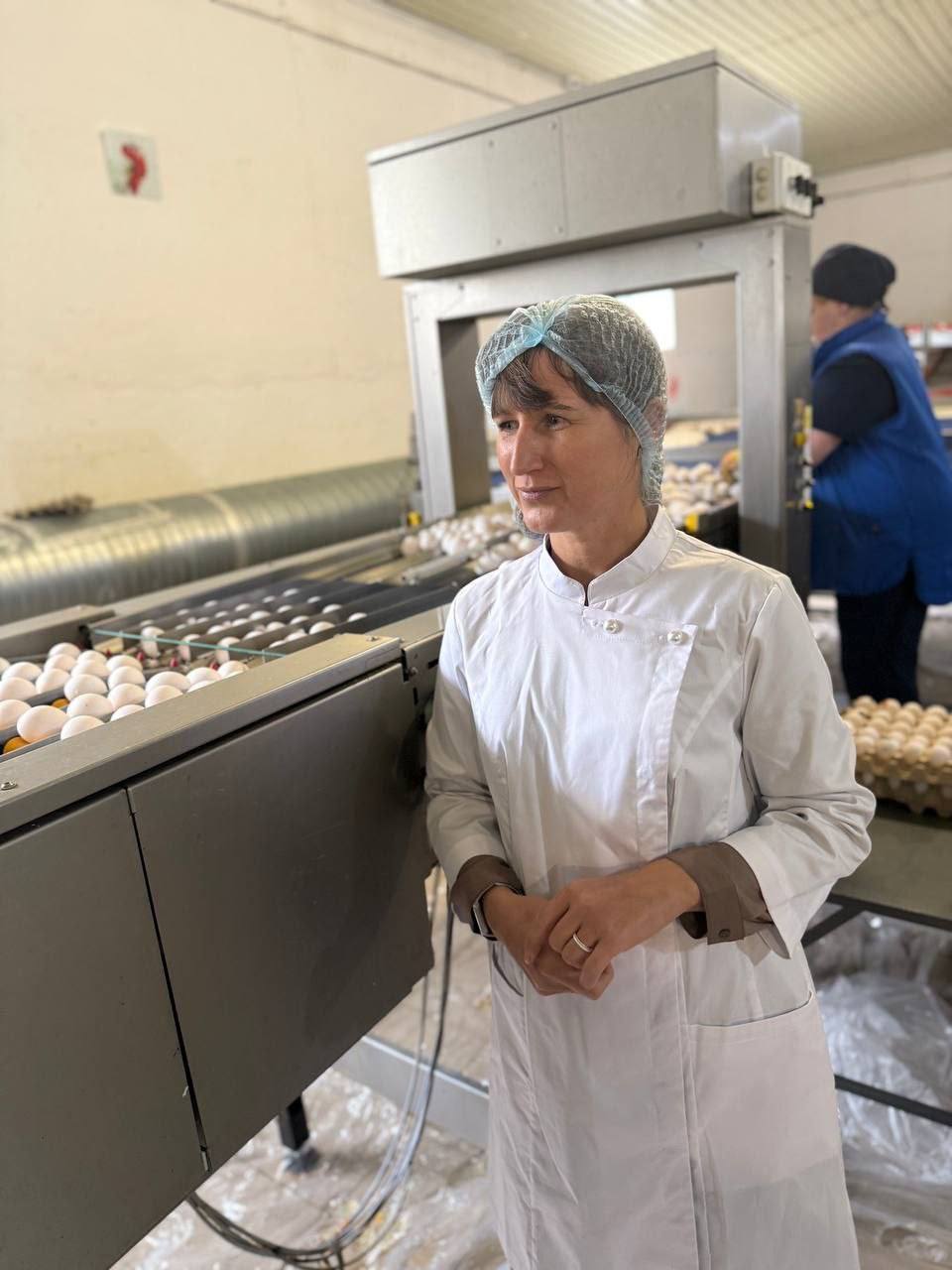 В 2025 году в Крыму производство куриных яиц выросло на 6% В 2025 году в Крыму производство куриных яиц выросло на 6%