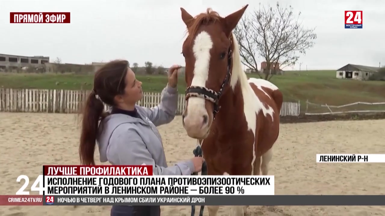 Вакцинацию крупного рогатого скота, лошадей, кошек и собак завершают ветеринары Ленинского района