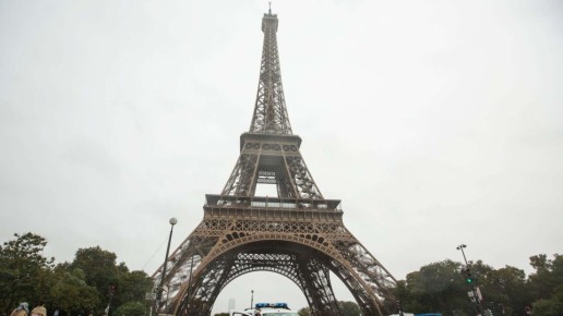 "Прокукарекали": эксперт оценил соглашение Киева и Парижа о самолетах