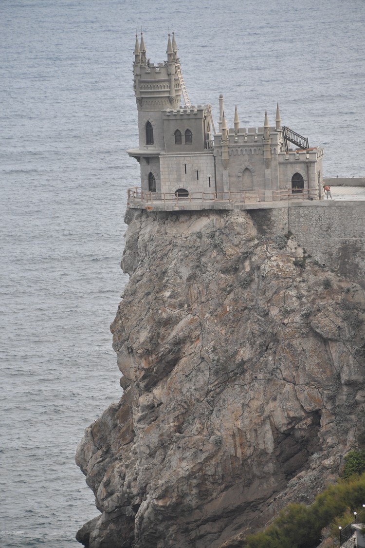 Выздоровела и забыла все обиды: как сложилась судьба спасенной у Ласточкиного гнезда кошки Муси Выздоровела и забыла все обиды: как сложилась судьба спасенной у Ласточкиного гнезда кошки Муси