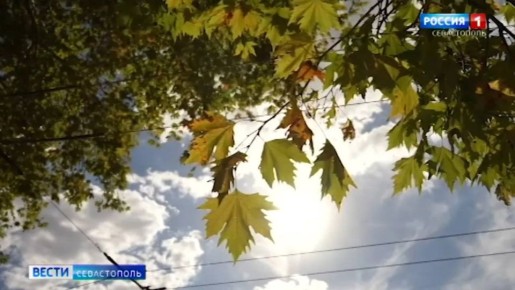 В Севастополь придёт аномальное тепло!