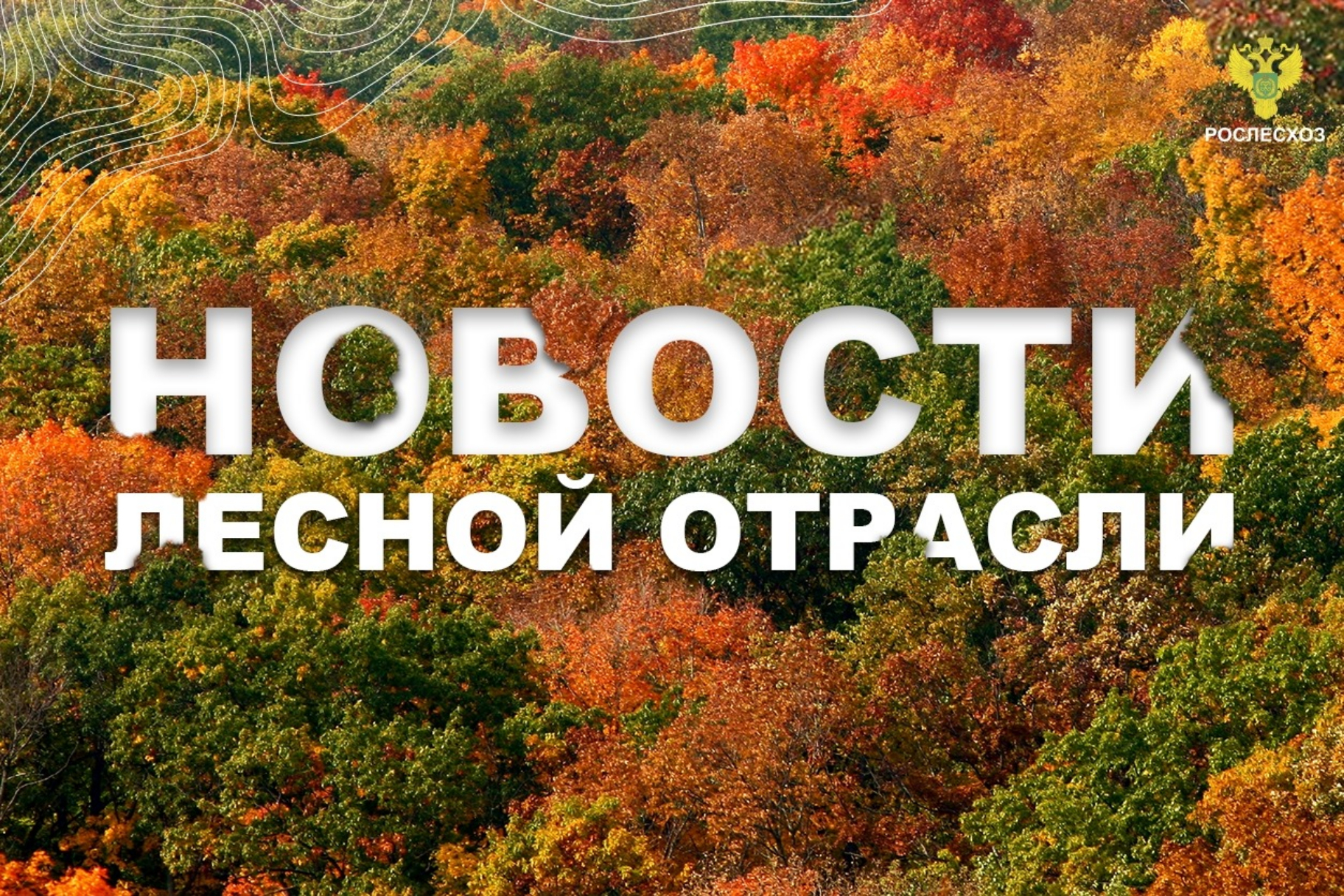 Минприроды Крыма информирует лесопользователей об изменениях в порядке подачи документации в ФГИС ЛК