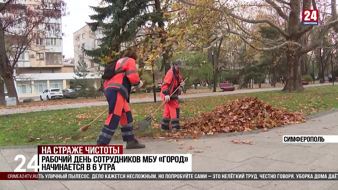 Ежедневно за санитарным состоянием Симферополя следит порядка 450 человек