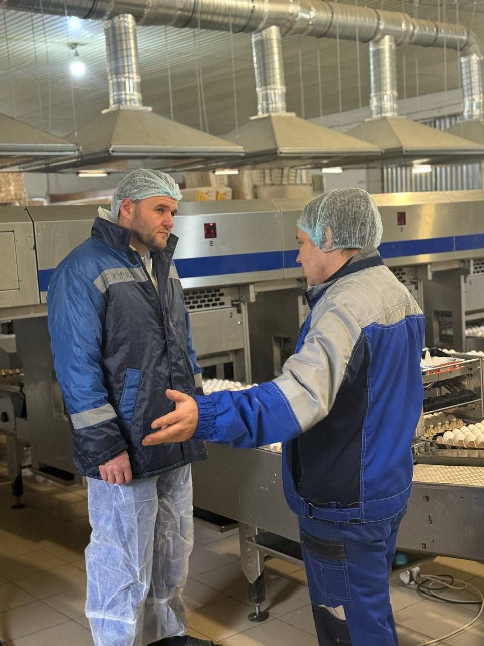 В 2025 году в Крыму производство куриных яиц выросло на 6% В 2025 году в Крыму производство куриных яиц выросло на 6%