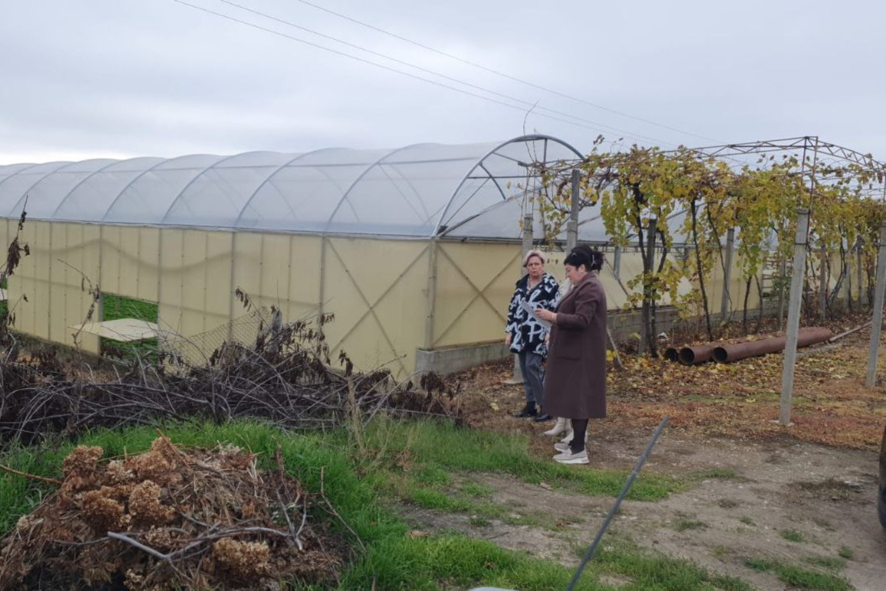 Следующими населенными пунктами в рабочем выезде главы муниципального образования Бахчисарайского района Ольги Урайкиной Каштановского сельского поселения были Отрадное и Шевченково.