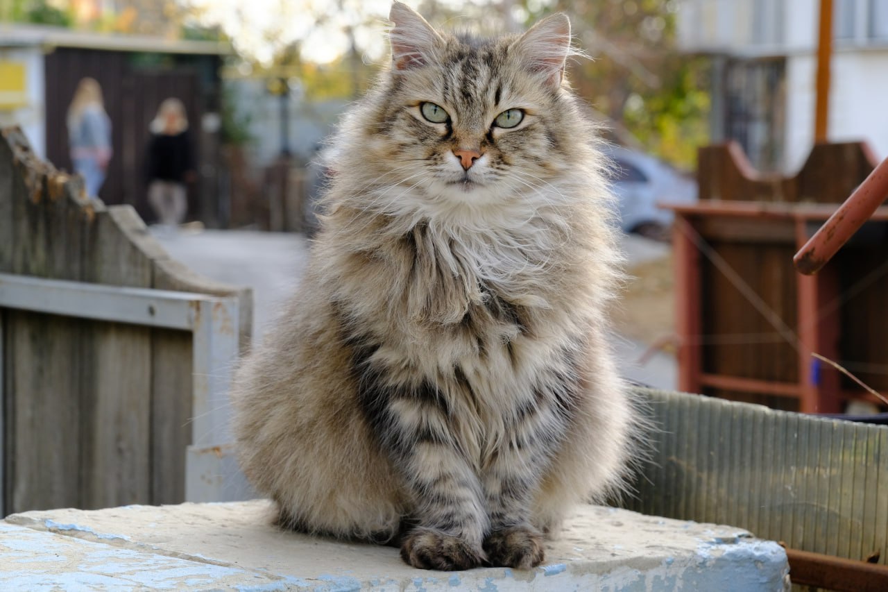 Янина Павленко: В регионе продолжаются масштабные работы по установке новых детских площадок, асфальтированию дворов и междворовых проездов, ремонту подъездов Янина Павленко: В регионе продолжаются масштабные работы по установке новых детских площадок, асфальтированию дворов и междворовых проездов, ремонту подъездов