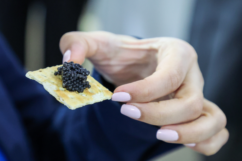 Через пять лет к русским на стол вернётся чёрная икра: Эксперты сделали прогноз Через пять лет к русским на стол вернётся чёрная икра: Эксперты сделали прогноз