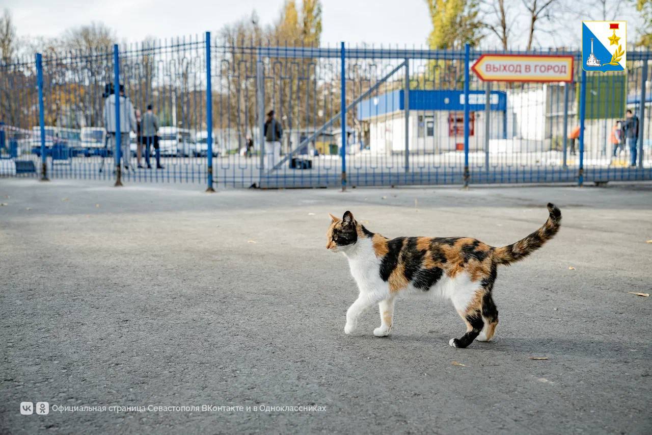 Обновили территорию автовокзала Обновили территорию автовокзала