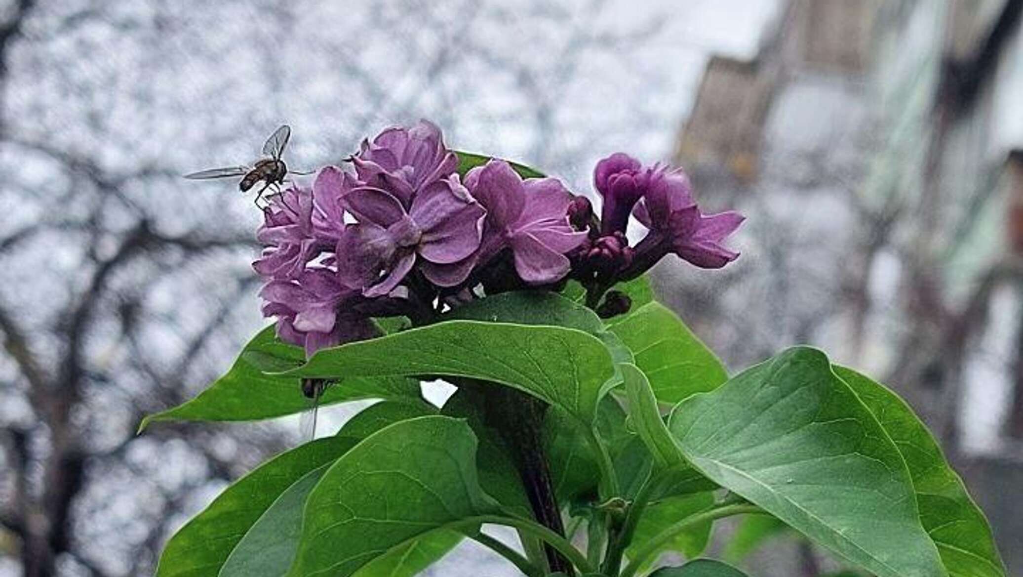 Аномальное тепло в Крыму – названа причина