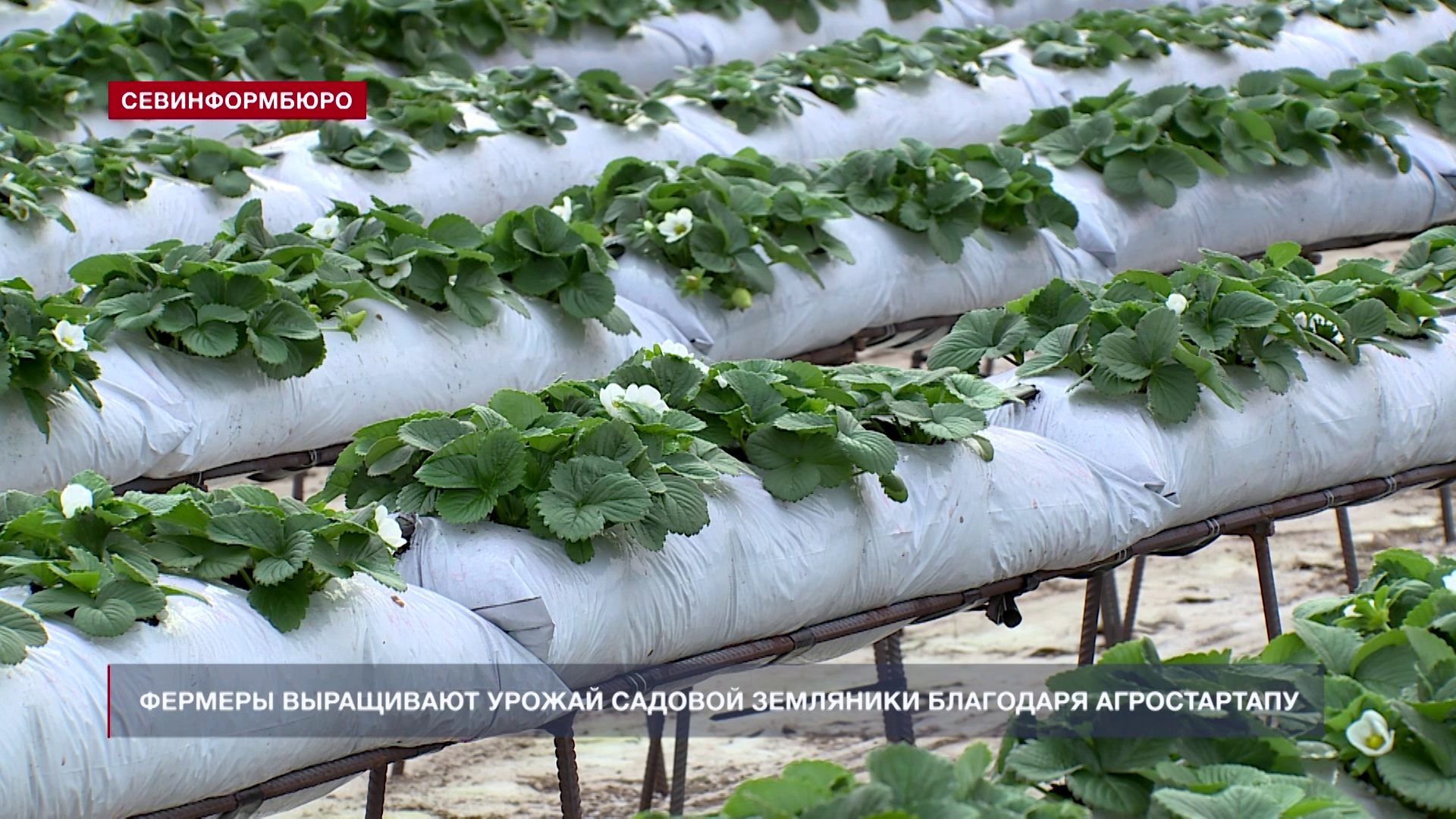 Основные события недели в Севастополе: 17 ноября – 23 ноября Основные события недели в Севастополе: 17 ноября – 23 ноября