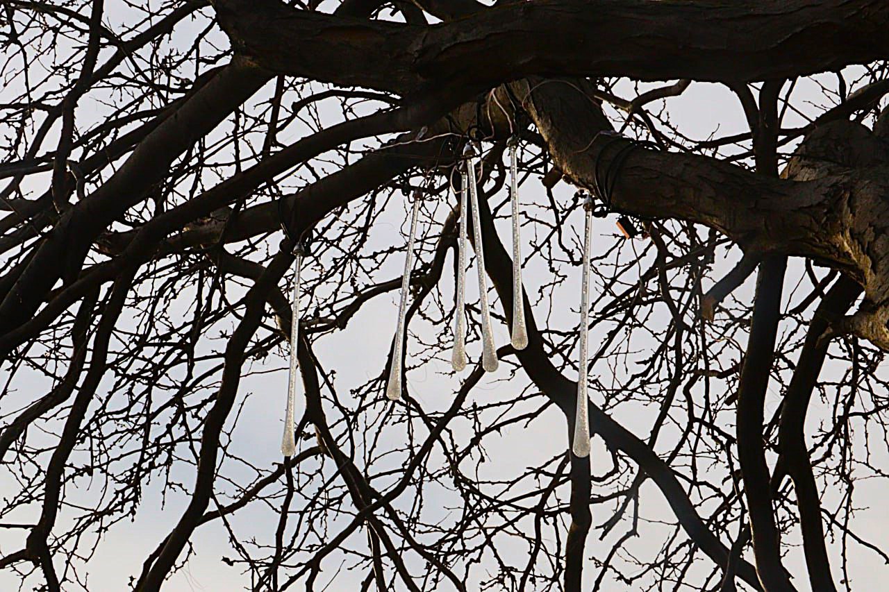 В Керчи уже устанавливают новогоднюю ёлку В Керчи уже устанавливают новогоднюю ёлку