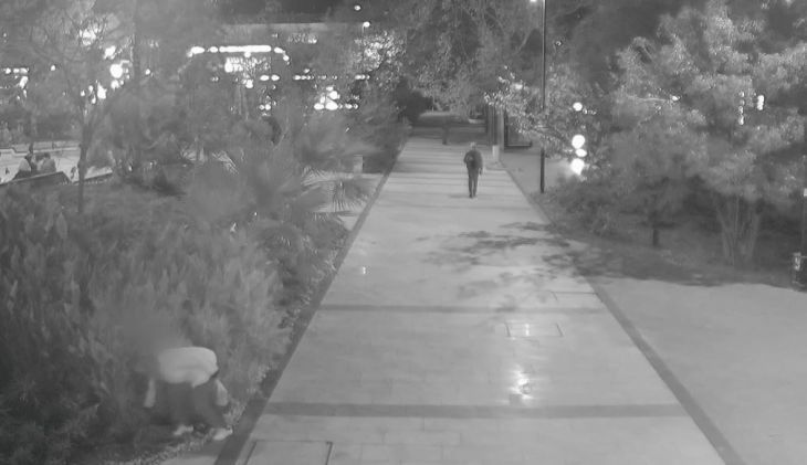 В центре Ялты выкопали цветы из клумбы