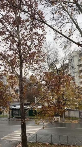 В Симферополе утро понедельника началось с дождя