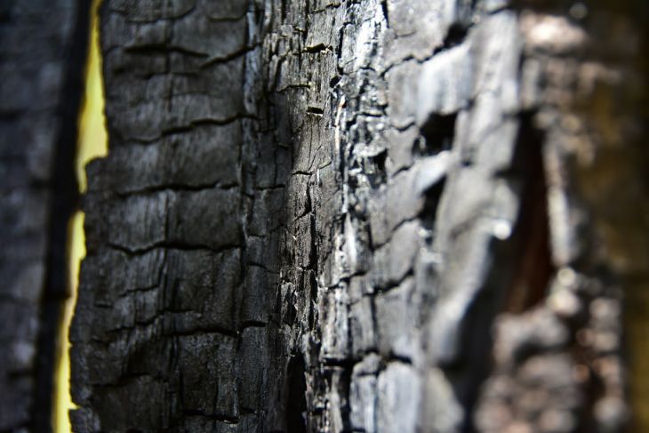 В Крыму за полгода 62 раза горел лес