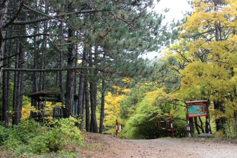 Особый противопожарный режим отменён!