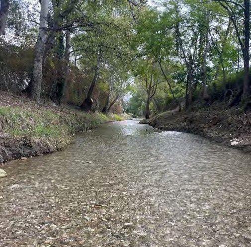 Михаил Развожаев: Завершены работы по расчистке русла реки Бельбек в районе Верхнесадового