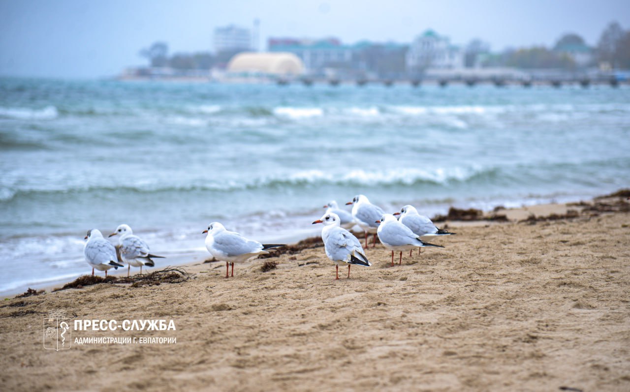 Солнечно и тепло: прогноз погоды в Крыму на неделю