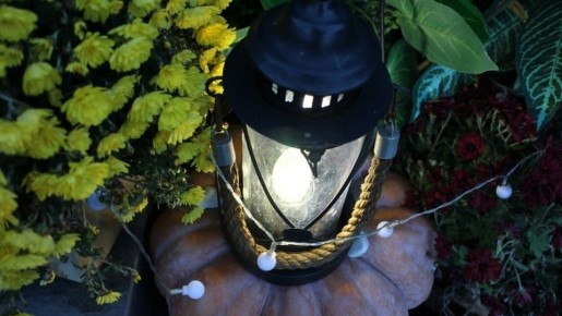    :  , , , , ,      26 