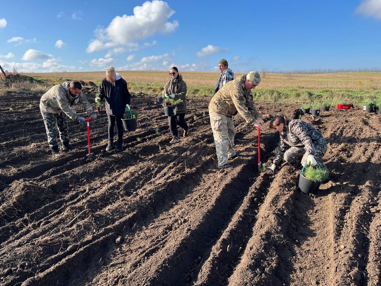 В Крыму продолжаются высадки в рамках Всероссийской акции «Сохраним лес» В Крыму продолжаются высадки в рамках Всероссийской акции «Сохраним лес»