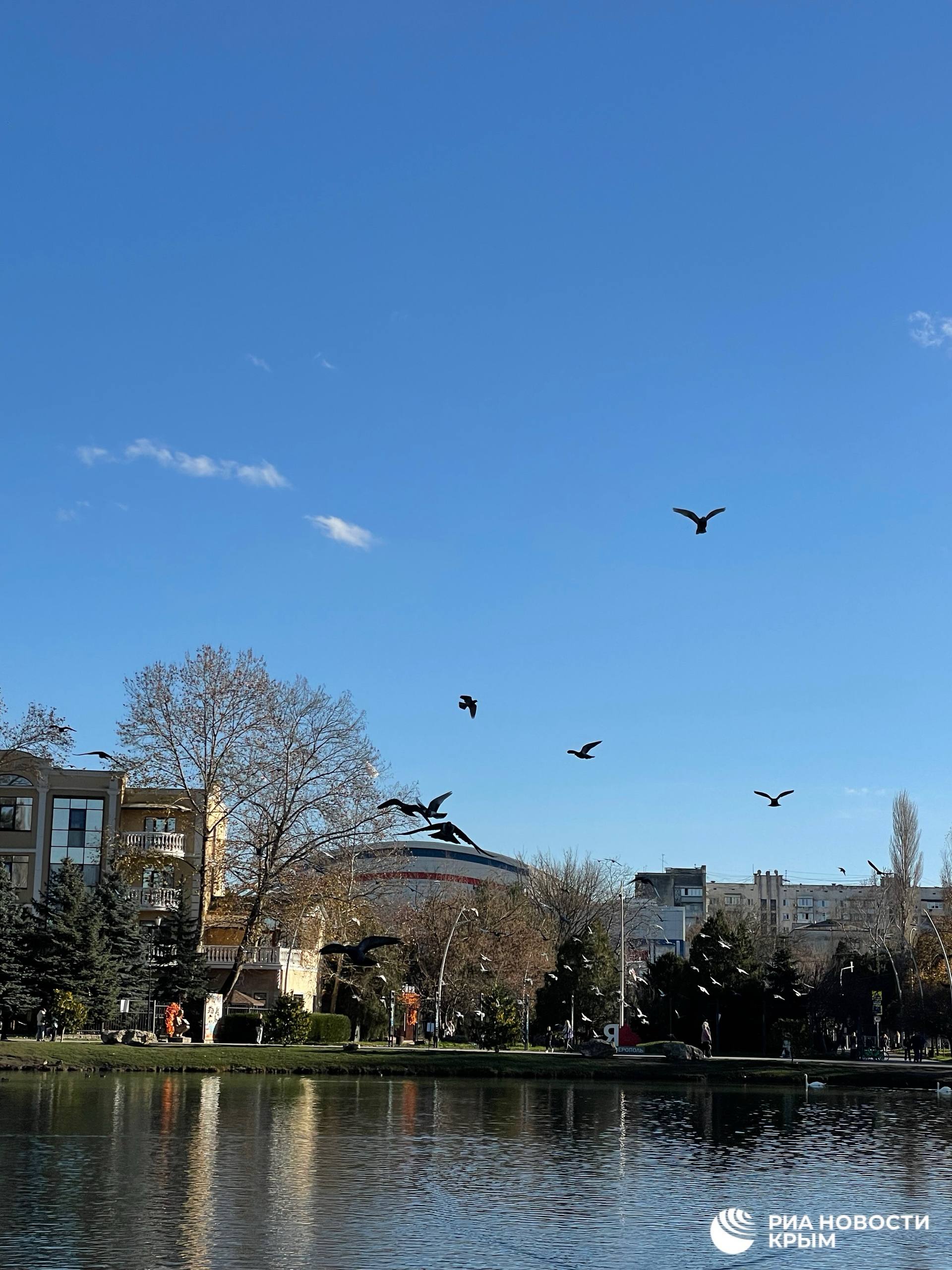 Жизнь в Гагаринском парке Симферополя по-прежнему кипит, несмотря на масштабный ремонт Жизнь в Гагаринском парке Симферополя по-прежнему кипит, несмотря на масштабный ремонт