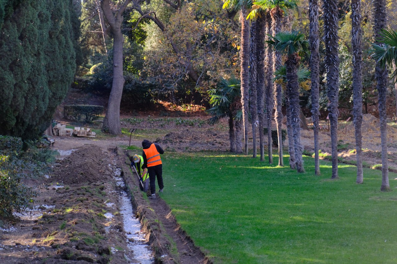 Янина Павленко: Ремонт еще одного парка-памятника, который находится в ведении Минприроды Крыма, в активной стадии – «Мисхорского» Янина Павленко: Ремонт еще одного парка-памятника, который находится в ведении Минприроды Крыма, в активной стадии – «Мисхорского»