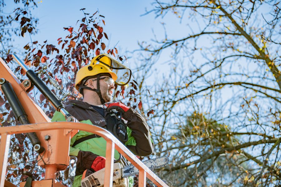 Коммунальные службы готовят город к сезонным ветрам
