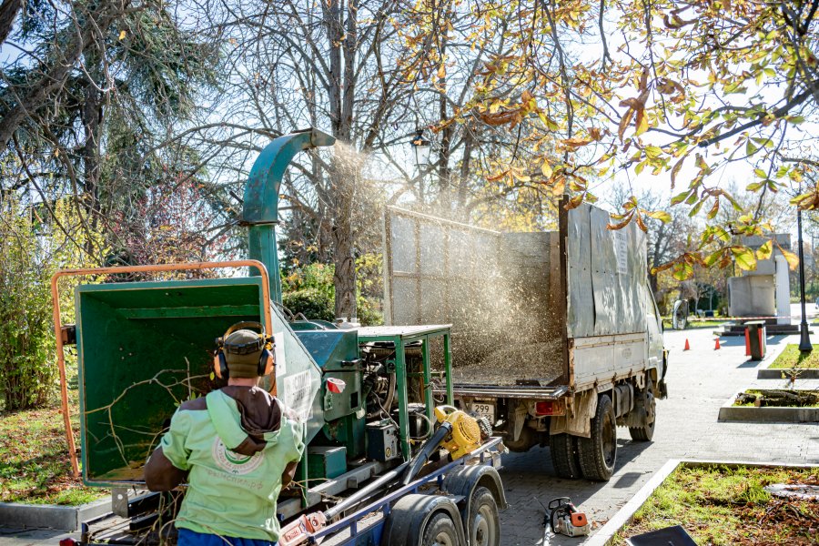 Коммунальные службы готовят город к сезонным ветрам Коммунальные службы готовят город к сезонным ветрам