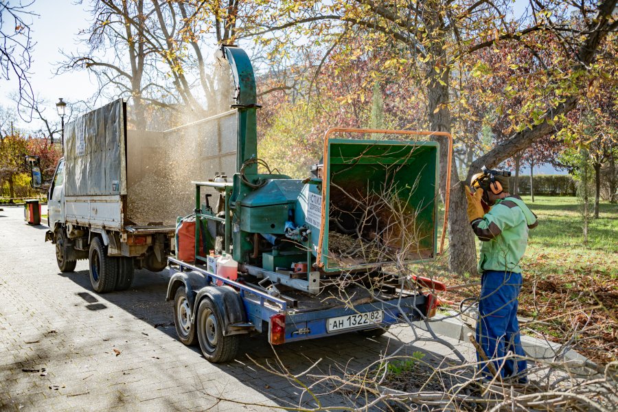 Коммунальные службы готовят город к сезонным ветрам Коммунальные службы готовят город к сезонным ветрам