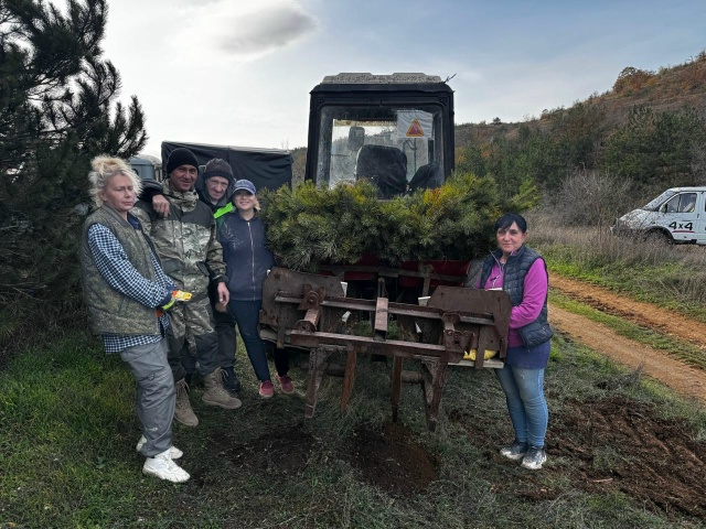 В Крыму продолжаются высадки в рамках Всероссийской акции «Сохраним лес» В Крыму продолжаются высадки в рамках Всероссийской акции «Сохраним лес»