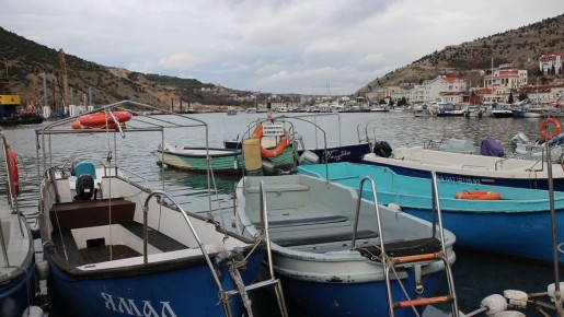   25  2025     :    16 