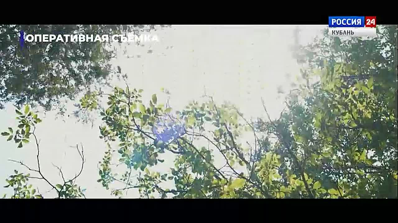 Документальный фильм «Игры с огнём»: Истории о подростках, которые сломали свою жизнь, пытаясь заработать «лёгкие деньги»