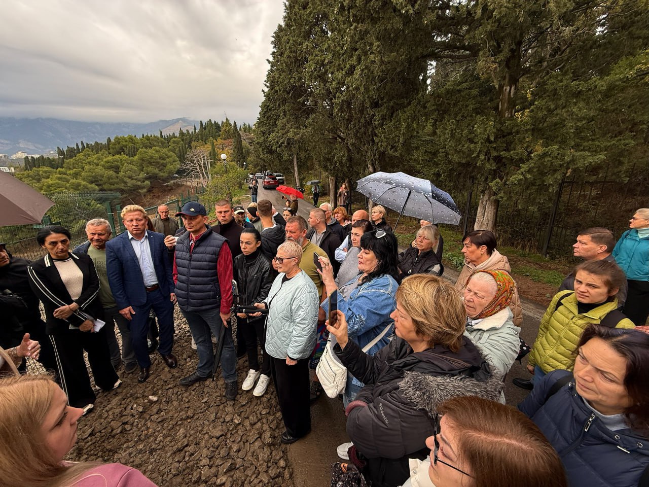 Ситуация с вырубкой деревьев на Поликуровском холме в Ялте на контроле у Бастрыкина