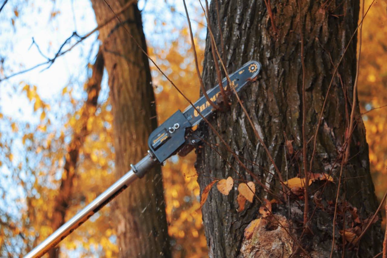 Олег Каторгин: Уход за зелеными насаждениями в Керчи ведется круглый год Олег Каторгин: Уход за зелеными насаждениями в Керчи ведется круглый год