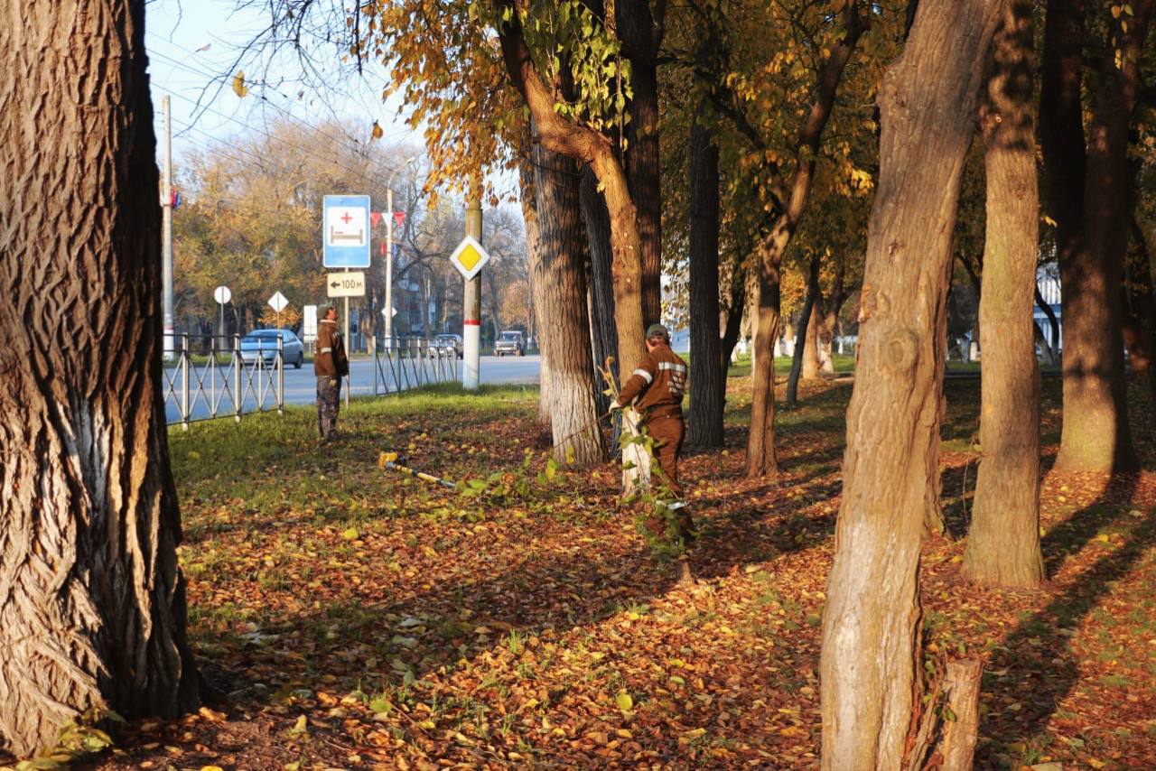 Олег Каторгин: Уход за зелеными насаждениями в Керчи ведется круглый год Олег Каторгин: Уход за зелеными насаждениями в Керчи ведется круглый год