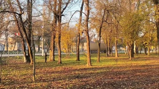 Олег Каторгин: Уход за зелеными насаждениями в Керчи ведется круглый год