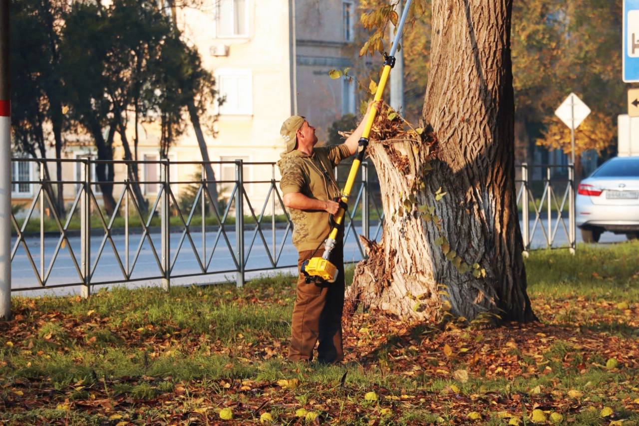 Олег Каторгин: Уход за зелеными насаждениями в Керчи ведется круглый год Олег Каторгин: Уход за зелеными насаждениями в Керчи ведется круглый год