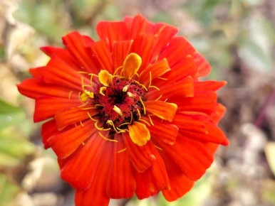   , !.        !    , t +7 - +14,  , -