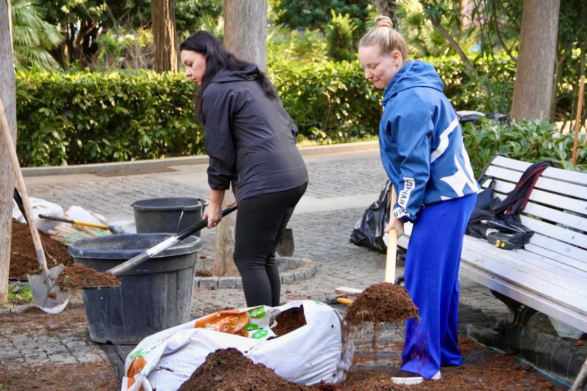 Константин Шимановский: Приморский парк озеленили 20 пальмами трех видов! Константин Шимановский: Приморский парк озеленили 20 пальмами трех видов!