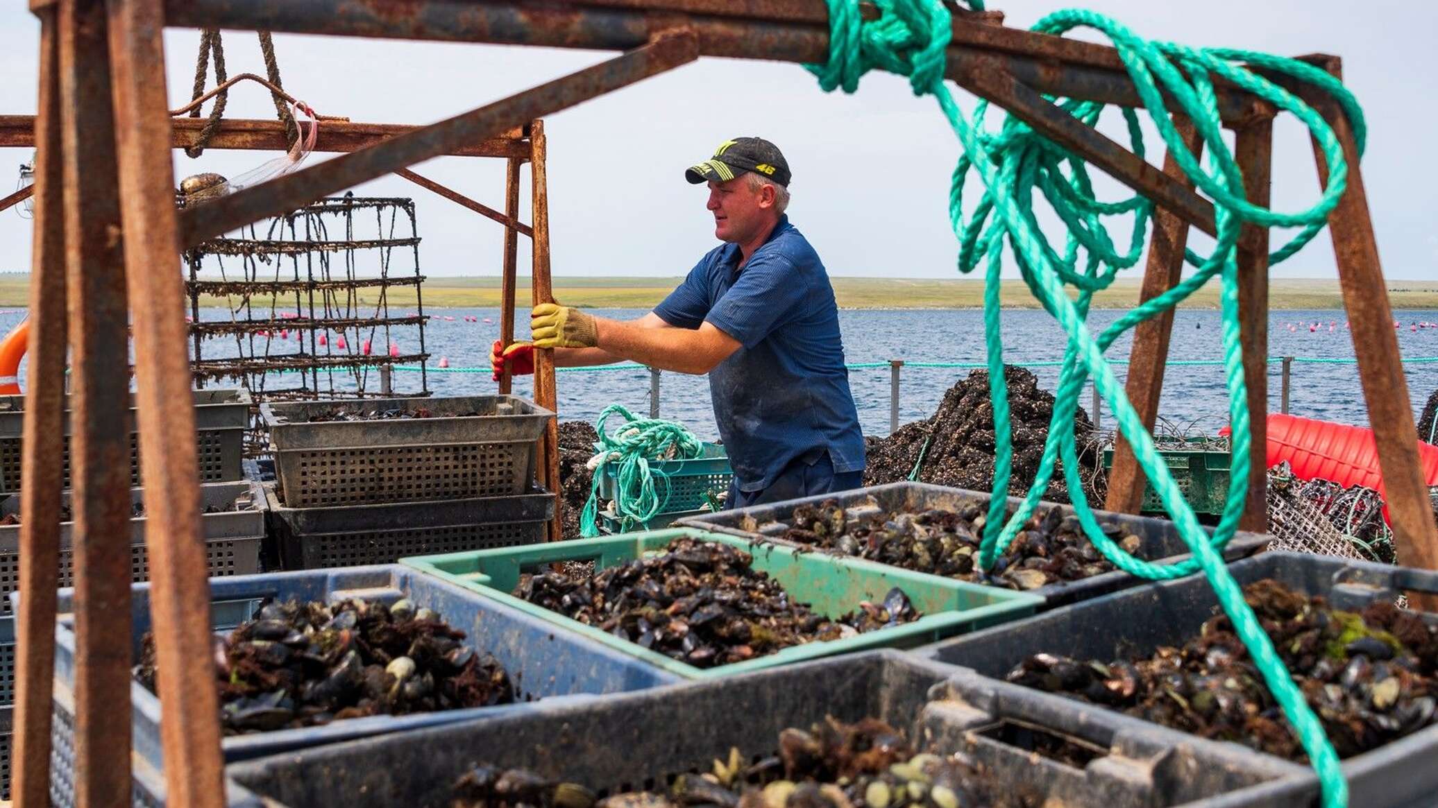 Море кормит: производство аквакультуры в Крыму выросло почти втрое