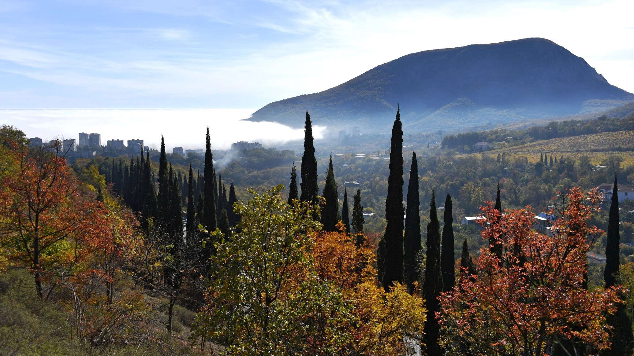 Каким будет первый месяц зимы в Крыму