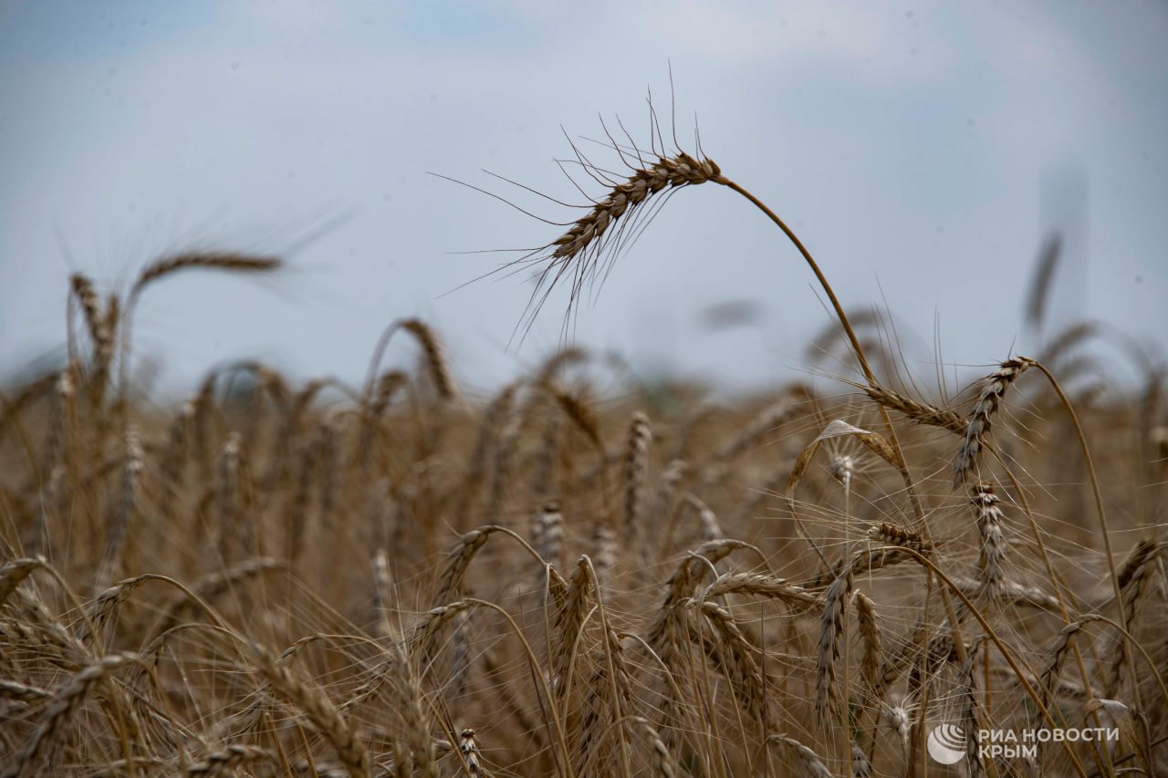 Погода на новых территориях России
