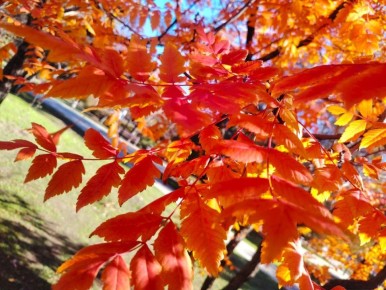   , !.        !    , t + 9 - +14,  , -