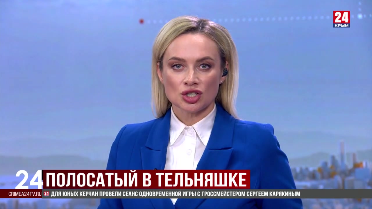 Енота по кличке Боря приютили бойцы 810-й бригады Черноморского флота