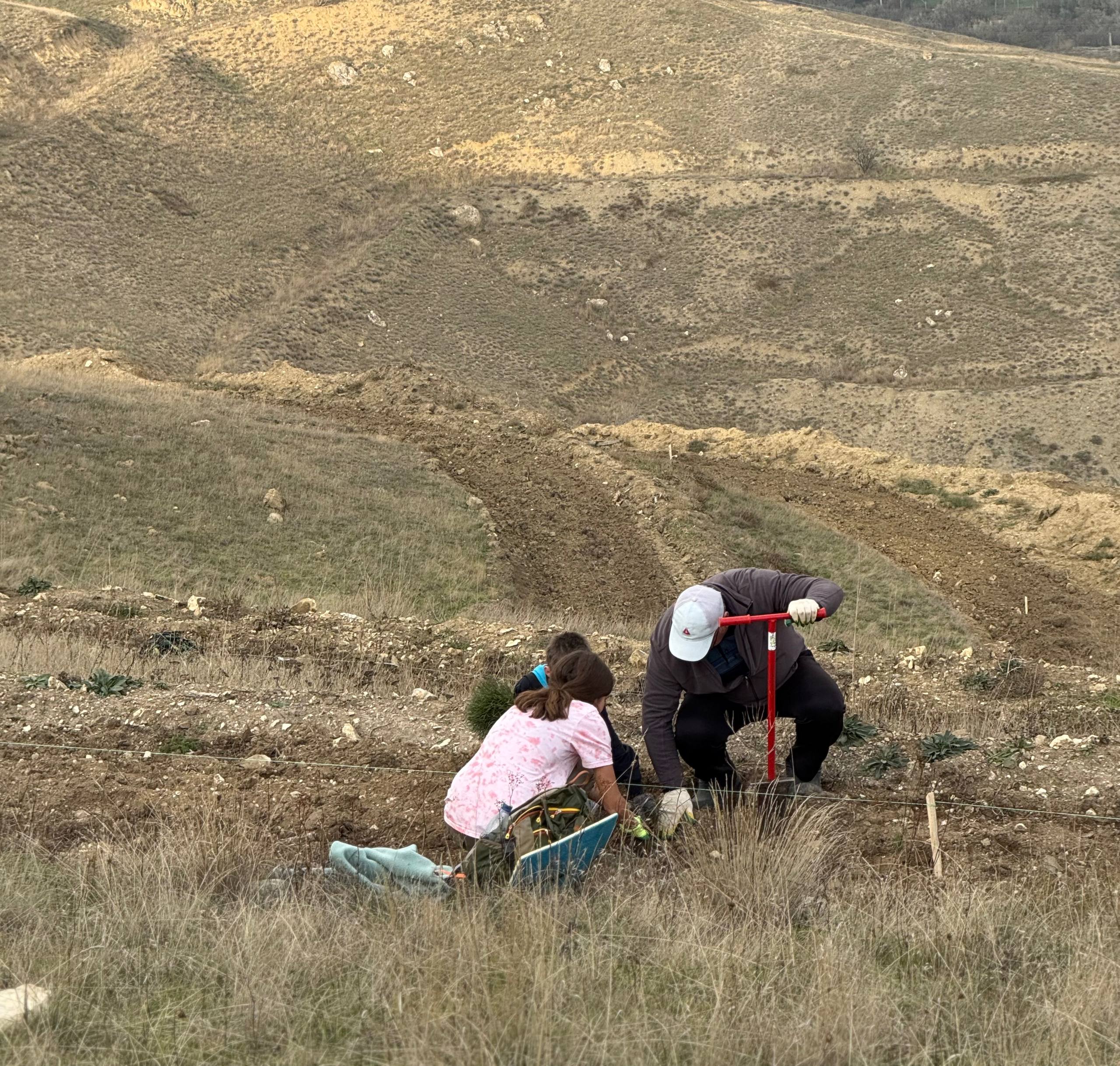 Вблизи пгт Орджоникидзе состоялось центральное мероприятие Всероссийской акции «Сохраним лес» Вблизи пгт Орджоникидзе состоялось центральное мероприятие Всероссийской акции «Сохраним лес»