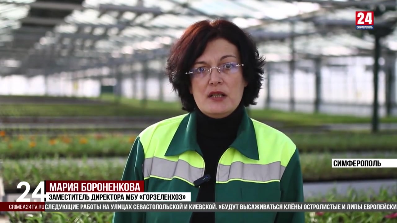 В Симферополе сотрудники МБУ «Горзеленхоз» до конца года планируют высадить более 300 деревьев