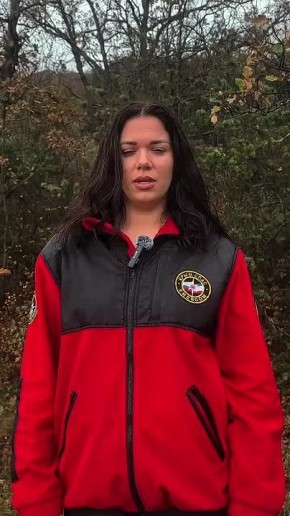 Осень продолжает радовать крымчан хорошей погодой, а это значит, что в выходные дни многие отправляются в лес собирать грибы