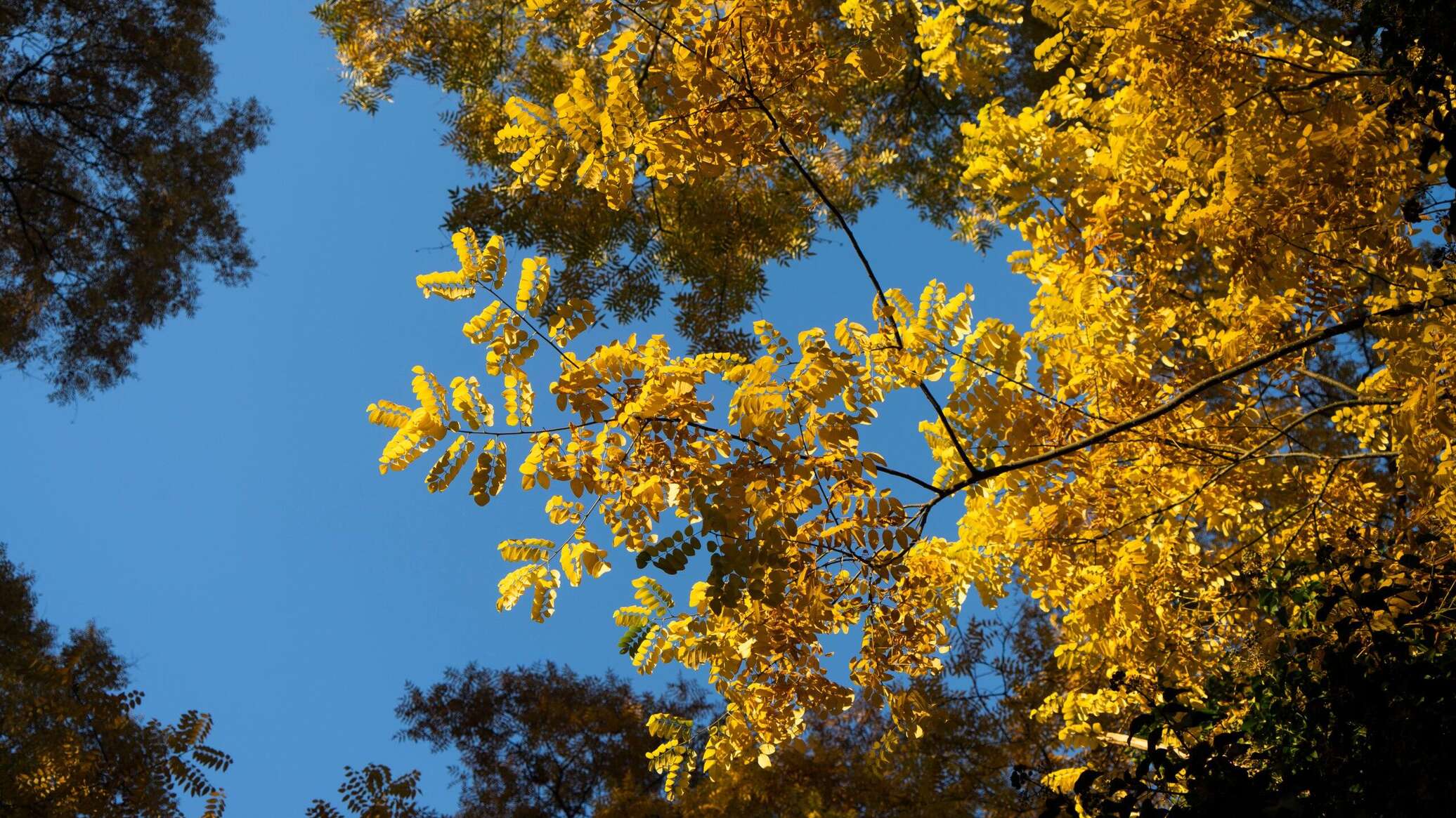 Погода в Крыму в пятницу